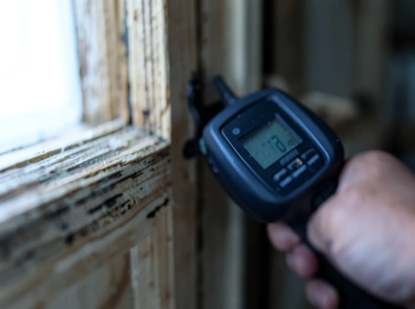 Moisture Inspection And Documentation in Piper City, IL